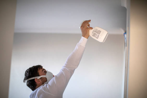 Best HVAC Mold Remediation in Providence, UT