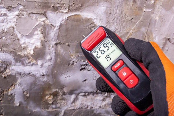 Best Commercial Mold Remediation in Providence, UT